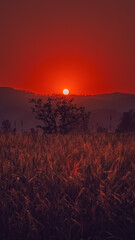 Round Sun during sunset going to set behind mountain and wheat fields