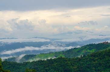Naklejka premium Landscape green mountains forest with rain fog at Doi Chang, Chiang Rai Thailand
