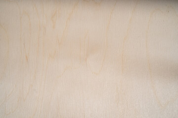 A sheet of plywood. Close-up texture. Daylight.