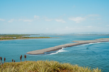 South side of the mouth of the bio bio river connecting with the pacific ocean with puya chilensis and vegetation.