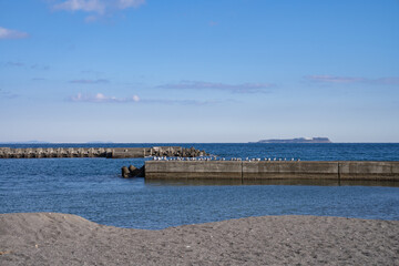 伊東 伊豆 海 ビーチ 海岸 観光