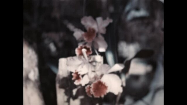 Tropical Flowers 1938 - Close up views of tropical flowers in the Caribbean, in 1938.