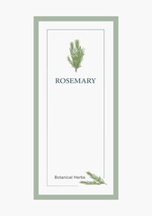 green rosemary invitation frame card vector