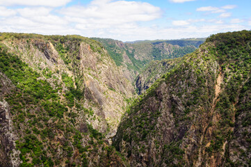 Fototapeta premium Wollomombi Gorge in the Oxley Wild Rivers National Park - Hillgrove, NSW, Australia