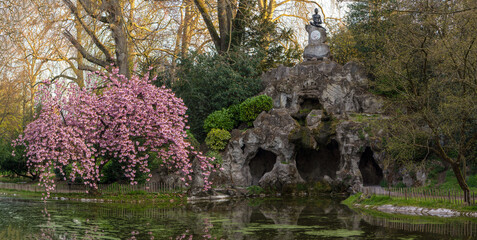 Japanese cherry tree is in the park next to the waterfall