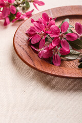 Pink fruit-tree flowers