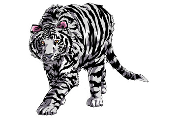 白虎　white tiger RPG　monster　on white background