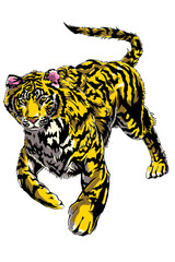 虎　tiger　on white background