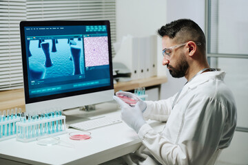 Fototapeta na wymiar Young contemporary male scientist or virologist looking at substance in petri dish in front of screen with macro image of covid molecule