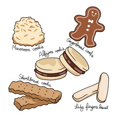 Genesis of Cookies vector illustration	