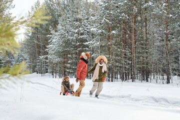 Happy African American family of three sledging in winter forest at winter resort or in the...