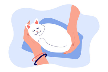 Hands of female pet owner holding cat. Hug and care for little furry friend from girl flat vector illustration. Love for animals, adoption concept for banner, website design or landing web page