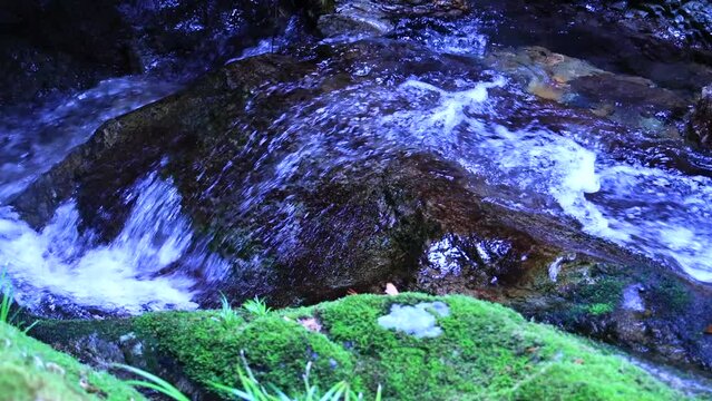 苔むした岩と美しい清らかなせせらぎの流れ
