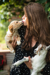 Woman hugging pet puppy dog and goatling yeanling. Natural young woman. Virgin girl in village. Sprinf fashion portrait of beautiful woman holding a small lamb and dog.