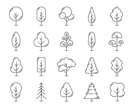 Forest tree and plant outline icons. Isolated garden and park trees thin line pictogram set, ecology and environment plants vector symbols, nature flora and botany minimal signs, trees thin line icons