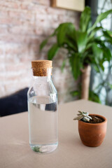 bottle of water with a cork lid next to a plant