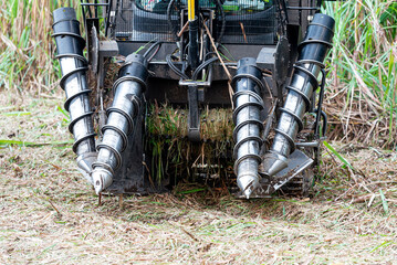 Machine for harvesting sugar cane