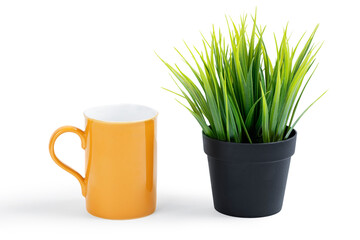 Mug and pot with green plant