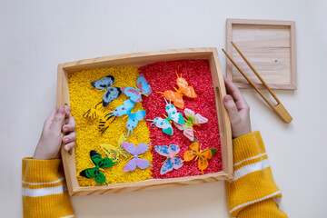 Top view of child hands, sensory box in Montessori school. Copy space - obrazy, fototapety, plakaty