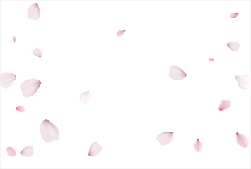 Pink sakura vector background, cherry flowers © writerfantast