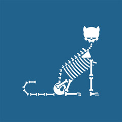 Skeleton cat isolated. Cat skull and bones. Vector illustration