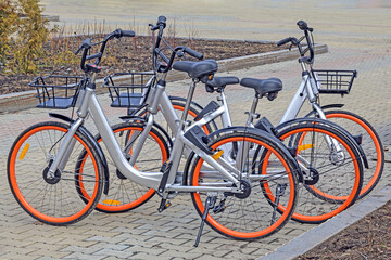 Fototapeta na wymiar Parking of rental bicycles on a spring day