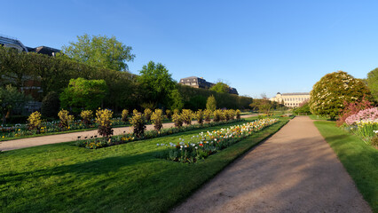 The Garden of Plants in the 5th arrondissement of Paris city - obrazy, fototapety, plakaty