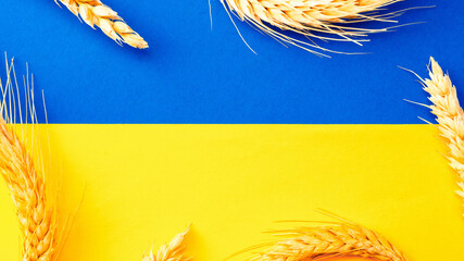Ukraine flag wheat grain background. Ukrainian symbol with wheat grain ear isolated on yellow blue...