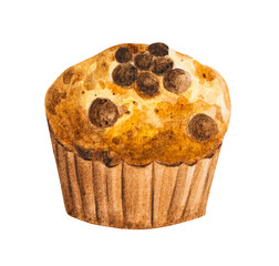 Muffin chocolate chip hand drawn watercolor