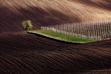 fertile soil and vineyards
