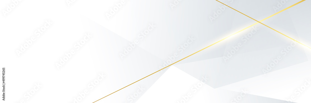 Canvas Prints luxury gold background vector. abstract white and golden lines background with glow effect. modern s