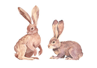 Easter bunnies in brown, pink colors, hand-drawn in watercolor on a white background. Great for cards, easter invitations, baby products