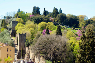 Italia, Toscana, la città di Firenze. Il giardino Bardini