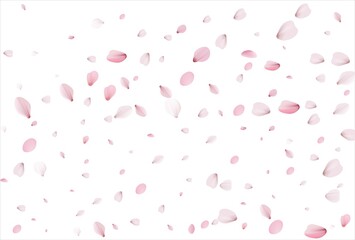 Fototapeta na wymiar Sakura petals background. Cherry petals