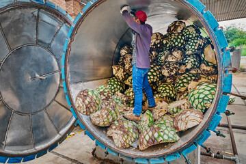 Man piling agave in oven ready to steam it