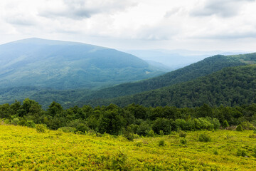 Fototapeta premium overcast morning scenery above green mountain valley. carpathian nature landscape in spring, ukraine. forested hills and grassy meadows on slopes. rainy weather