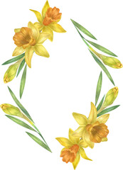 Watercolor daffodil frame.  Spring yellow flowers. Perfect for wedding invitation, greeting cards