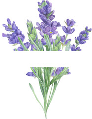 Watercolor lavender frames. Violet  summer flowers. Perfect for wedding invitations, greeting cards