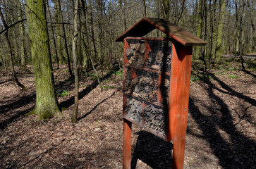 insect nest house located in the park on the meadow. it contains porous natural materials into...
