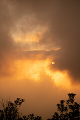 Dawn at Doi Inthanon National Park Thailand