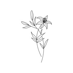 Lily May Birth Month Flower Illustration