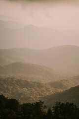 Fototapeta premium Dawn at Doi Inthanon National Park Thailand
