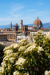 Fototapeta na wymiar Italia, Toscana, la città di Firenze vista da Piazzale Michelangelo.