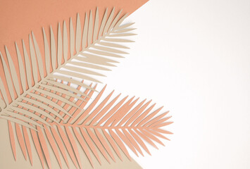 Tropical Leaves on a White, Beige and Red-Brown Background. Simple Modern Composition with Paper...