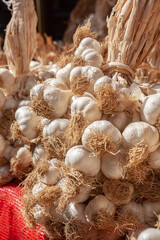 Large bunches of garlic on counter closeup with Selective focus.