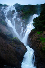 Fototapeta premium waterfall in the forest