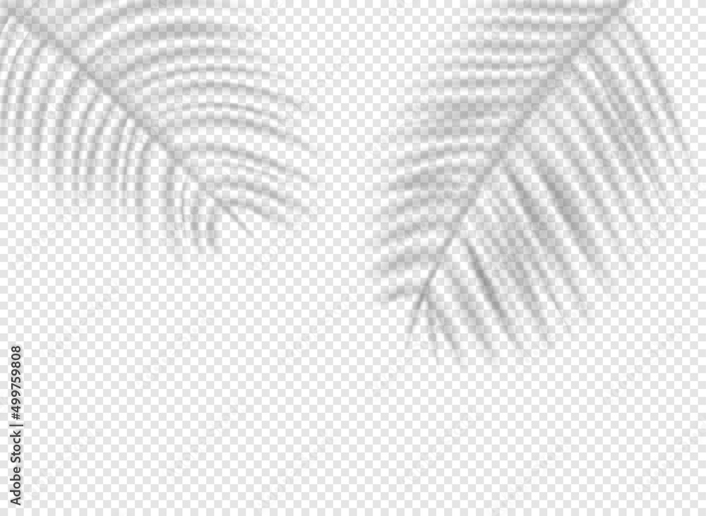 Aufkleber palm leaves shadows on transparent background. shadow overlay effect vector effect