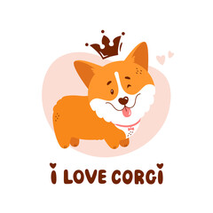 Cute corgi puppy with crown and quote - I love corgi. Vector illustration isolated on white background. Funny dog and hand drawn lettering. Print for card, poster or t-shirt design.