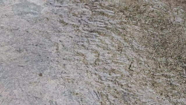 Raindrops on the water on a rainy day, heavy rain on a rainy day, scatter shower and thunderstorm