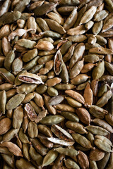 Cardamom seeds spread out on a kitchen table. Raw and dried cardamom seeds